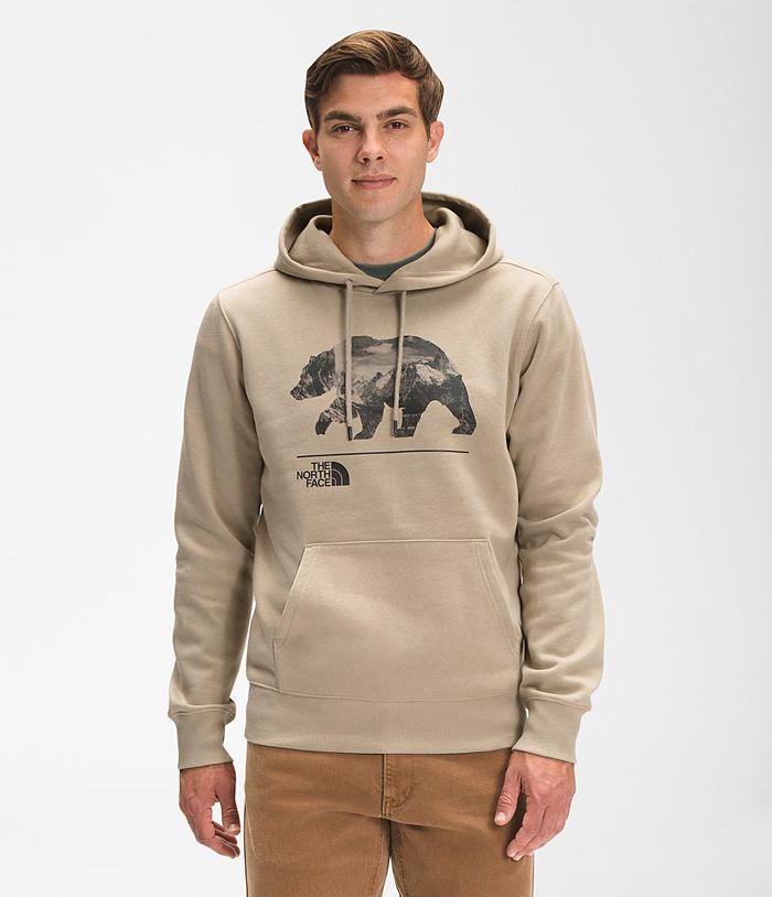 Sudadera Con Capucha The North Face Hombre Bearscape Pullover Beige - Peru 25679DSOV